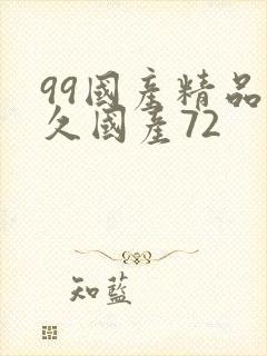 99国产精品久久国产72