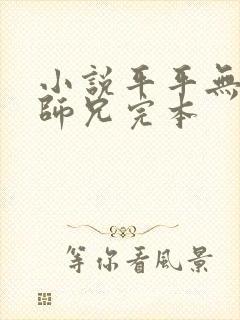 小说平平无奇大师兄完本封面