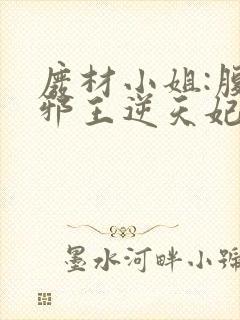 废材小姐:腹黑邪王逆天妃 叶轻轻