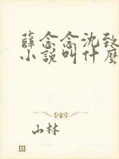 薛念念沈致宴的小说叫什么