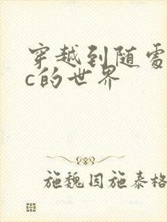 穿越到随处可以c的世界