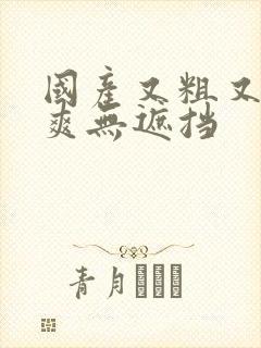 国产又粗又猛又爽无遮挡