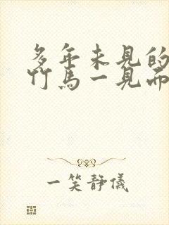 多年未见的青梅竹马一见面就封面