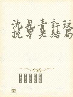 沈见青许玟玟再挽星光结局