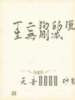丁二狗的猎艳人生无删减