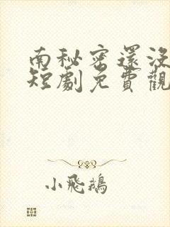 南秘密还没心动短剧免费观看封面