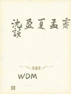 沈盈夏孟霁明小说