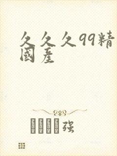 久久久99精品国产