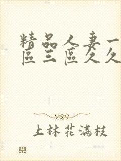 精品人妻一区二区三区久久久