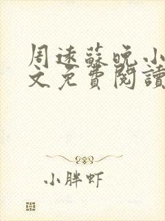 周远苏晚小说全文免费阅读