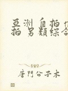 亚洲 自拍 偷拍 另类综合图区