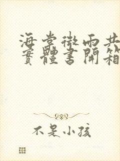 海棠微雨共归途实体书开箱封面