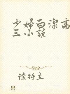 少妇白洁高义陈三小说封面