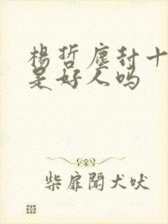 杨哲尘封十三载是好人吗