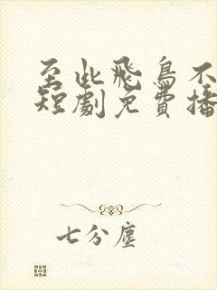 至此飞鸟不相逢短剧免费播放