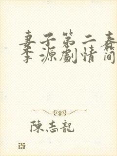 妻子第二春张倩李源剧情简介封面