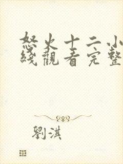 怒火十二小时在线观看完整版免费