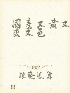 国产又黄又爽又爽又色