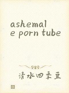 ashemale porn tube