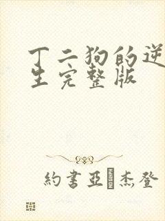 丁二狗的逆袭人生完整版