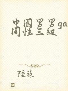 中国男男gay同性三级