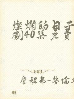 灿烂的日子电视剧40集免费观看