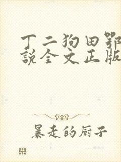 丁二狗田鄂茹小说全文正版免费阅读封面