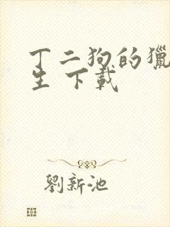 丁二狗的猎艳人生 下载