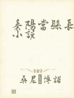 秦阳当县长官场小说