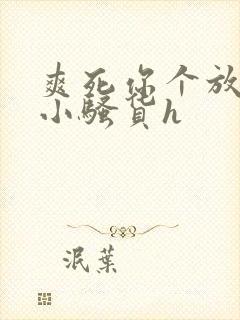 爽死你个放荡的小骚货h