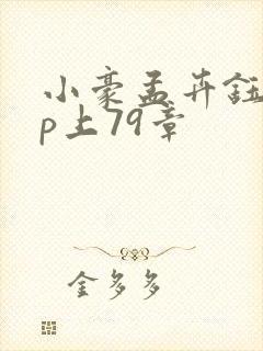 小豪孟卉钰慧三p上79章