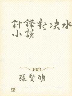针锋对决水千丞小说