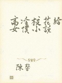 高冷校花给我当女仆小说封面