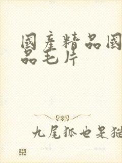 国产精品国产精品毛片