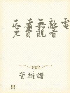 正者无敌电视剧免费观看