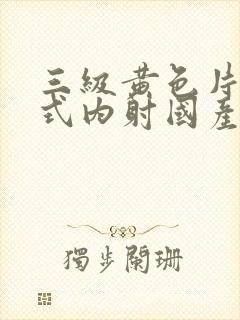 三级黄色片后入式内射国产片封面