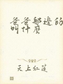 爸爸那边的姐姐叫什么