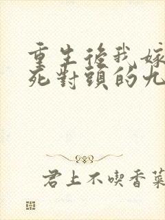 重生后我嫁给了死对头的九叔