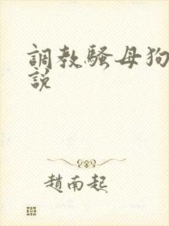调教骚母狗 小说封面