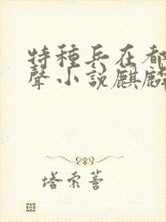 特种兵在都市有声小说麒麟听书网