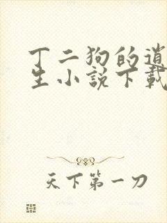 丁二狗的逍遥人生小说下载封面