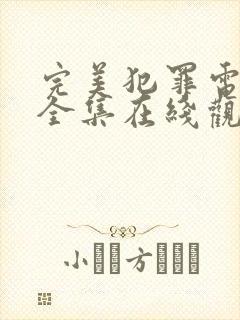 完美犯罪电视剧全集在线观看