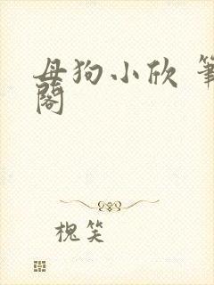 母狗小欣 笔趣阁