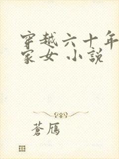 穿越六十年代农家女 小说