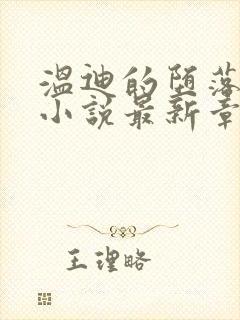 温迪的堕落浮殇小说最新章节列表