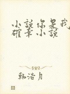 小说你是我的小确幸小说封面