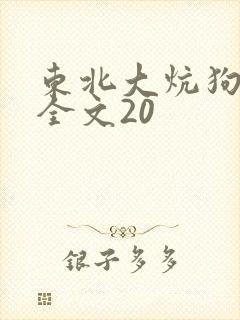东北大炕狗儿娘全文20