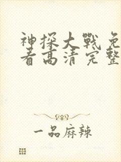 神探大战免费观看高清完整封面