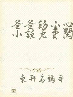 爸爸的小心肝儿小说免费阅读