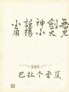 小说神剑无敌主角杨小天免费阅读